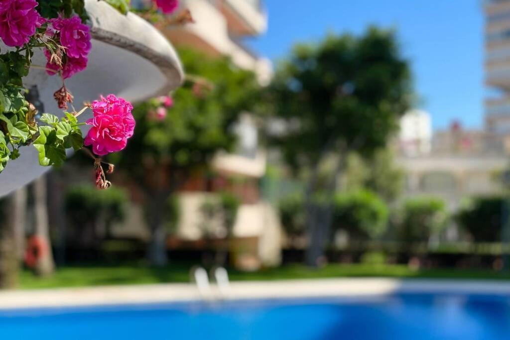 Encantador Y Coqueto Loft A 8 Min. De La Playa. Аліканте Екстер'єр фото
